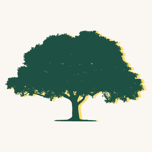 Friends of M.F. Correllus State Forest