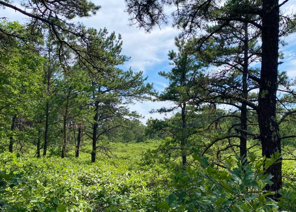 Friends of MF Correllus in the&nbsp;News