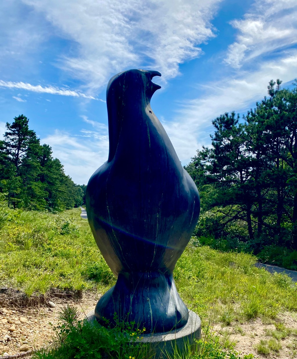 Correllus State Forest Walk  Thursday, August 3, 2023 10&nbsp;AM-12PM